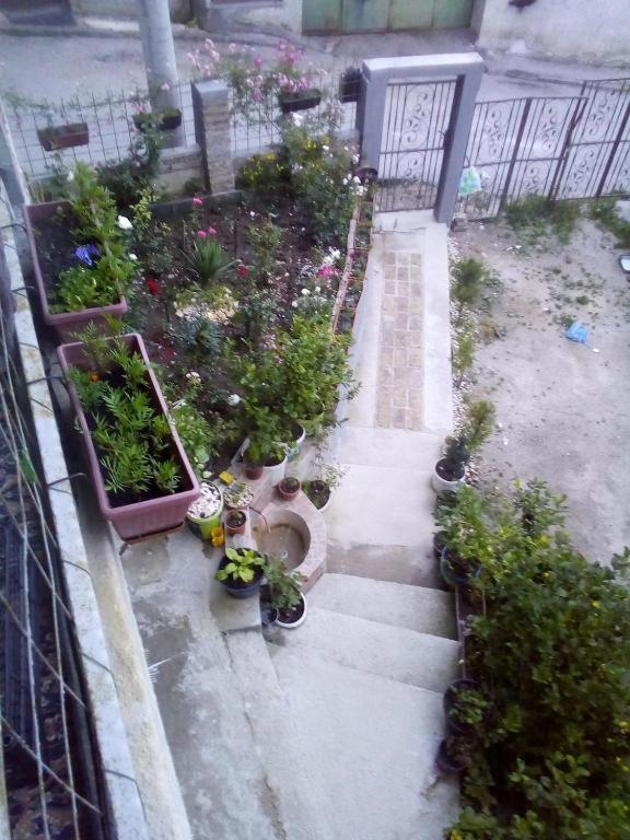 סראייבו Apartman Turkana 2 מראה חיצוני תמונה